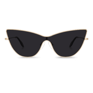 Sleek Style Glasses